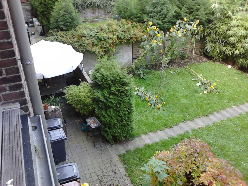 giardino