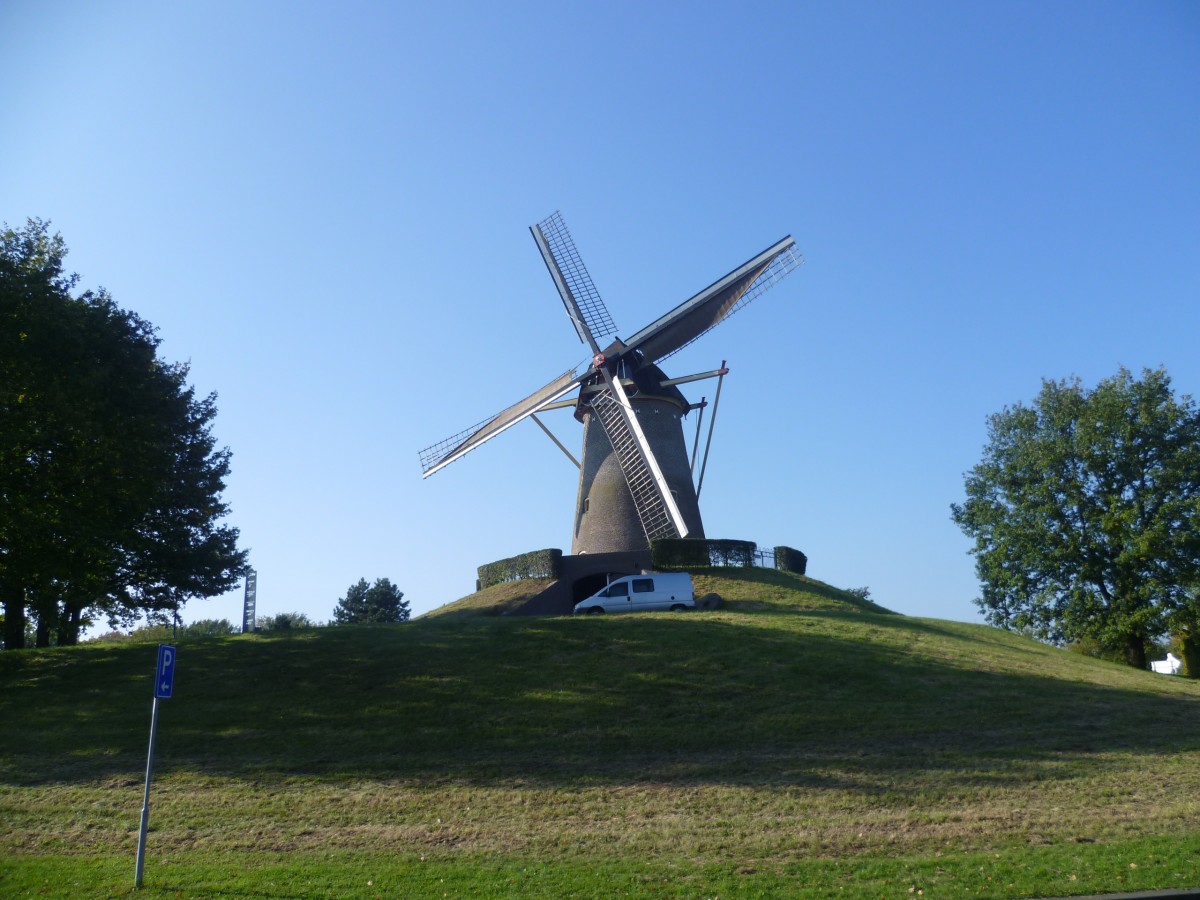 P1030151