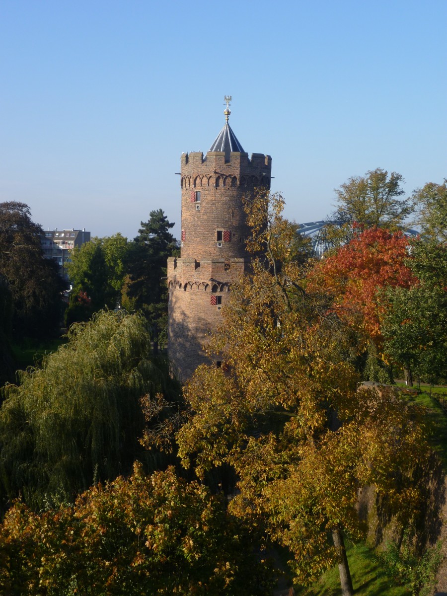 P1030196