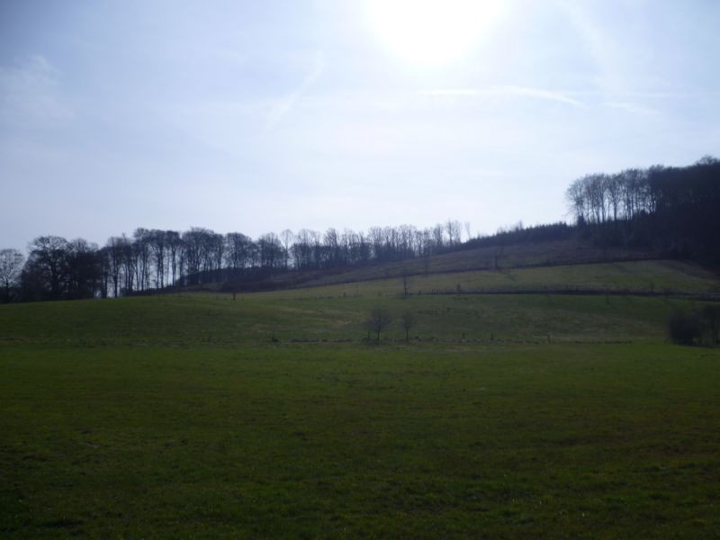 P1010005