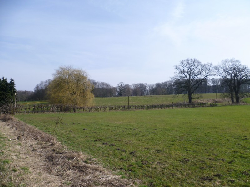 P1010006