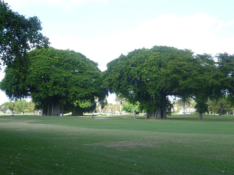 P1000604