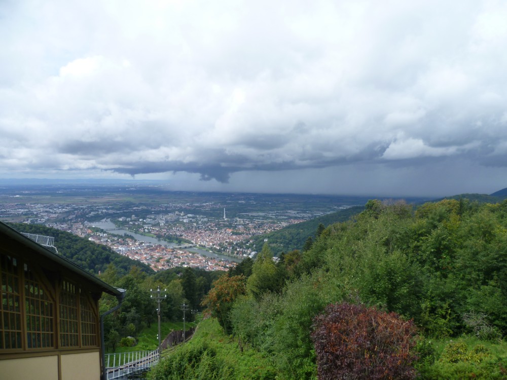 P1020793
