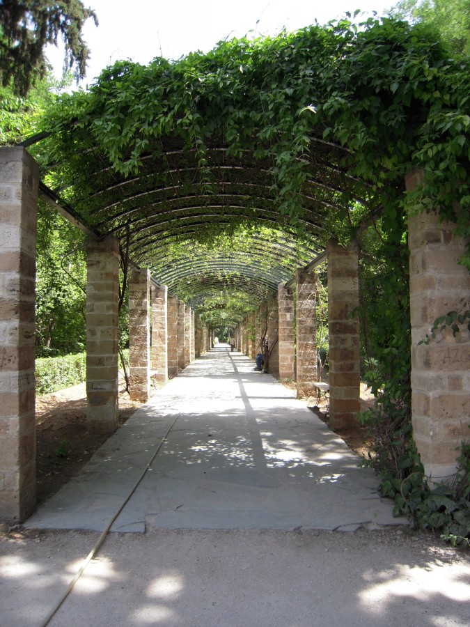 DSCN1157