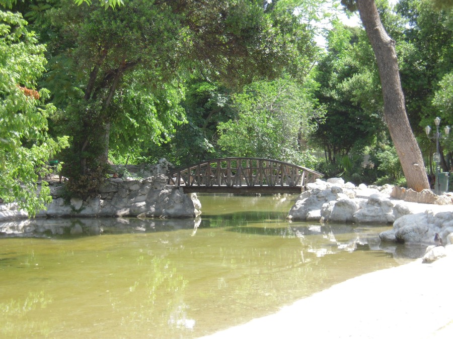 DSCN1180