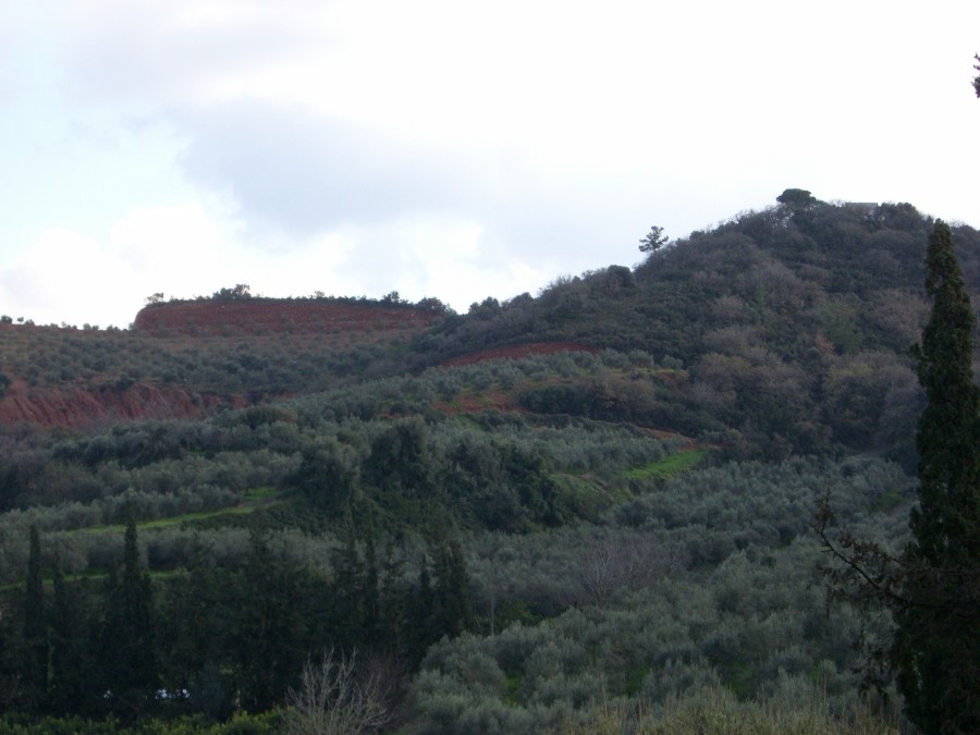 CIMG6236